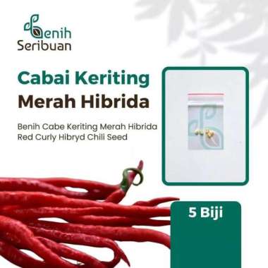 Bibit Cabe Keriting Merah Hibrida F1 Lidia Benih Cabai Sayuran Buah