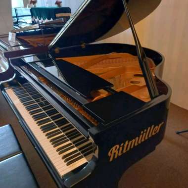 Grand Piano Ritmuller GP 148 RI