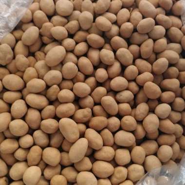 [ 250 gr ] Kacang Telur Oven | Kacang Telur Oven Gurih Renyah | Camilan Kacang Oven | Aneka Camilan 