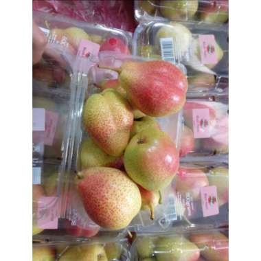 Pir Forelle Manis – Buah Import Premium Manis, Segar, Renyah,.