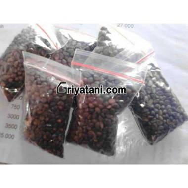 Benih Kangkung Cabut / darat 20 gram repack