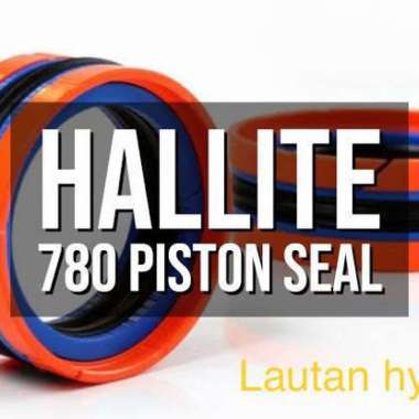 PISTON SEAL 125 * 100 * 25,4 * 6,35 TYPE 780 COMPACT HALLITE