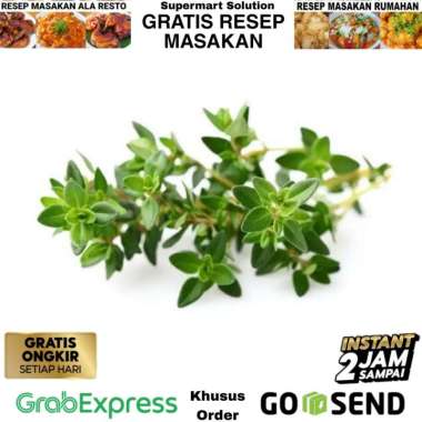 Daun Thyme / Daun Timi Segar