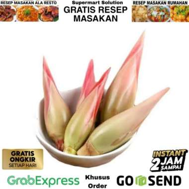 Sayur Kecombrang / Bunga Honje / Bunga kecombrang