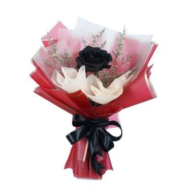 Buket Bunga Mawar Hitam Hadiah Karangan Mawar Spray Hitam - FlowerAdvisor 1 tangkai