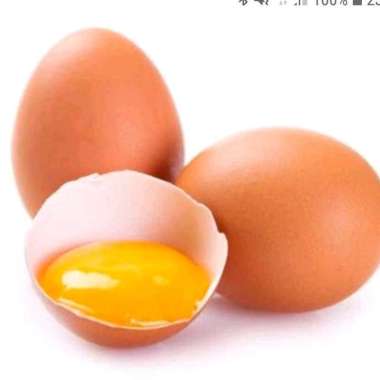Telur Ayam Negeri 1kg