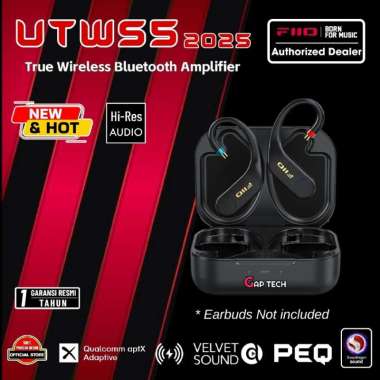 FiiO UTWS5 / UTWS 5 2025 True Wireless Bluetooth Earbuds Hook Amplifier - 2pin 0.78mm Original MMCX