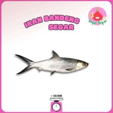 Sayur Segar - Ikan Bandeng Jumbo/Milkfish Ukuran 1 Kg Satu Ekor