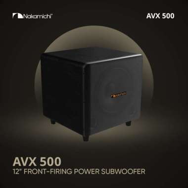 Nakamichi AVX 500 / AVX-500 / AVX500 Subwoofer Home Karaoke 12 Inch