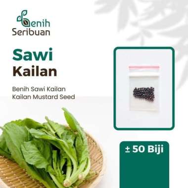 60 Biji Benih Sawi Kailan F1 Full White 921 Known You Seed Bibit Sayur