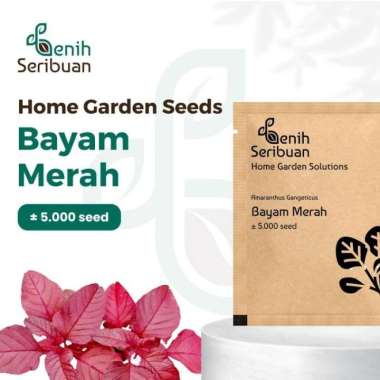 Bibit Bayam Merah - Benih Sayuran Seribuan Premium PREM BAYAM MERAH