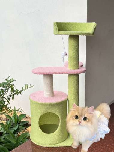 Rumah Mainan Kucing Tempat Tidur Makan Kucing