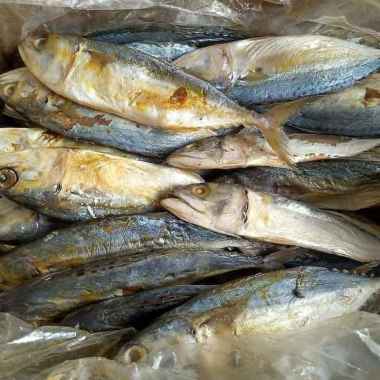 Ikan Asin Peda Banyar Sedang 20ribu isi 500gram