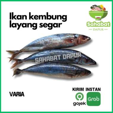 Ikan Kembung Layang Segar - Sahabatdapur 1 kg