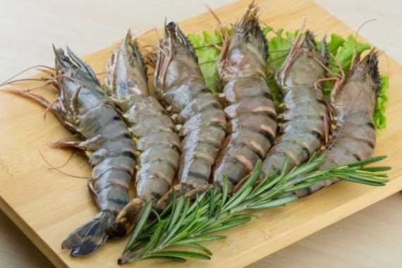Udang tiger / udang windu /black tiger prawn 1kg TIGER 8-10