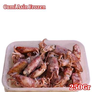 Cumi Asin Fresh Frozen Seafood Asin Besar