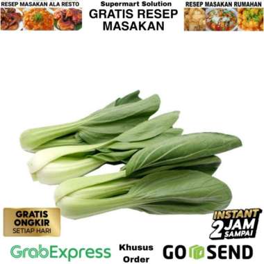 Sayur Pakcoy Sayur Pak choy Baby pakcoy Segar Pakcoy