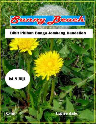 Bibit Pilihan Bunga Jombang Dandelion