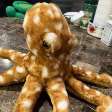 Boneka Gurita (Octopus Doll's) Multivariasi
