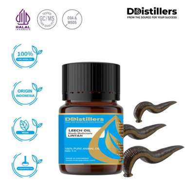 Leech / Minyak Lintah Animal Oil Pure 100%, 2-10ML GS 5 ML