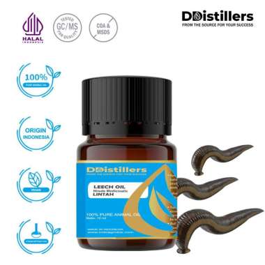 Leech / Minyak Lintah Animal Oil Pure 100%, 2-10ML GS 10 ML