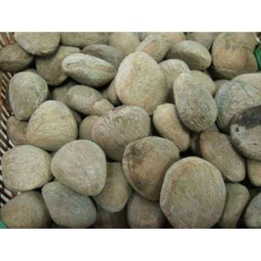 Kluwak / Kluwek Per 250 gram