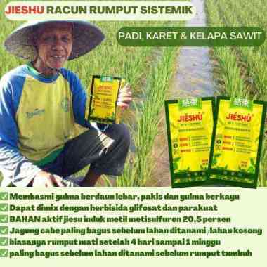 Herbisida Racun Rumput Sistemik Selektif Pembasmi Gulma Rumput Pada Tanaman Padi Karet Kelapa Sawit 