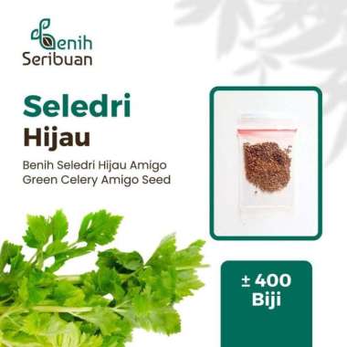 Benih Seledri Amigo Cap Panah Merah Sayuran Hidroponik Super 400 Biji