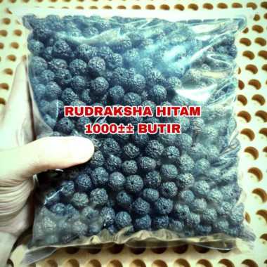 RUDRAKSHA HITAM ISI 1000±± BUTIR SUDAH DI LUBANGI JENITRI HITAM MANIK HITAM 1000PCS NORMAL