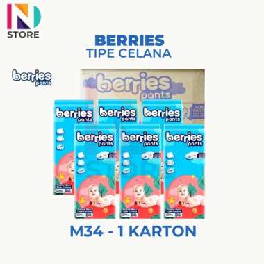 Berries Pants M34/L30/XL26 Tipe Celana Paket 1 Karton BERRIES M34 1 KARTON