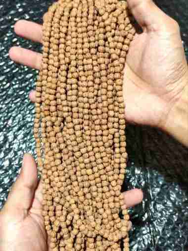 KALUNG JENITRI RUDRAKSHA KECIL UKURAN 5-6MM KECIL ISI ±108 BUTIR