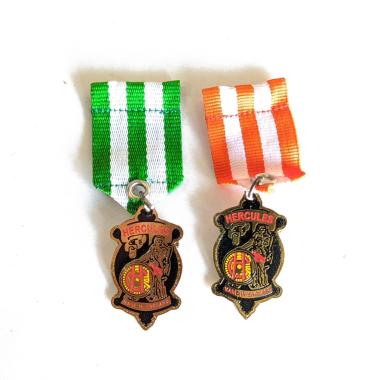 Lencana Pin Bintang Jasa Hercules Pin Bros Hercules Mulyocreative