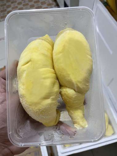 Jual Durian Bawor Terbaru - Harga Murah | Blibli.com