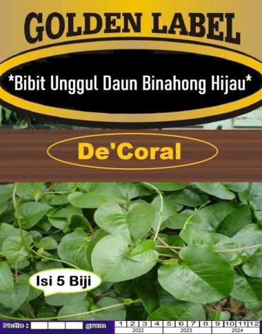 Bibit Daun Binahong Hijau | Biji Benih Binahong Hijau | Daun Binahong