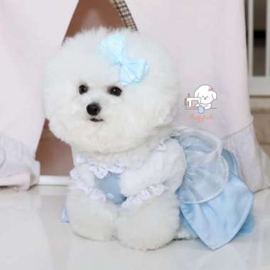FLUFFYTAIL PRINCESS DRESS FAIRY TALE EDITION - SUPER CUTE - XXL Cinderella