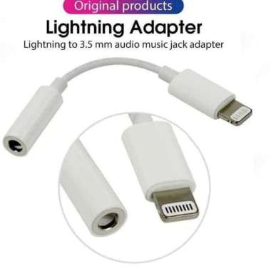 Converter lightning to jack