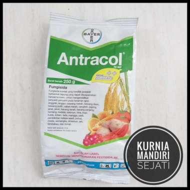 Fungisida ANTRACOL 70WP + Zinc kemasan 250 Gram