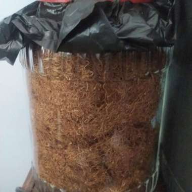 Toples Gayo hijau premium Plus isi 1000gr