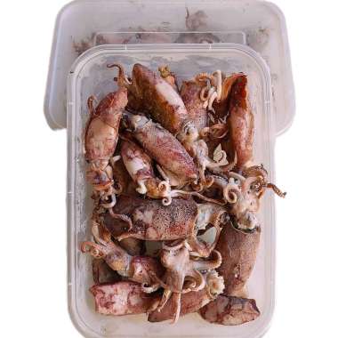 Cumi Asin Besar Frozen Cumi Merah Premium