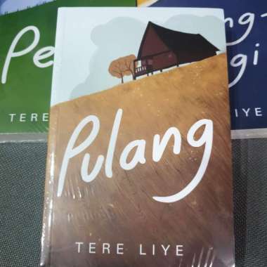 Novel Tere Liye: (Pulang , Pergi dan Pulang-Pergi) Multivariasi Multicolor