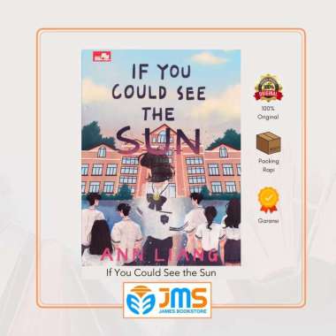 Novel If You Could See the Sun