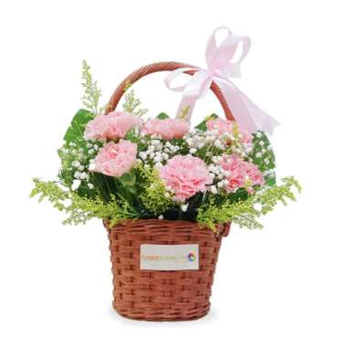 Buket Bunga Carnation Freshcut Asli - Karangan Bunga Carnation Hadiah Perayaan - FlowerAdvisor Petal