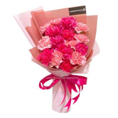 Buket Bunga Carnation Freshcut Asli - Karangan Bunga Carnation Hadiah Perayaan - FlowerAdvisor Hot p