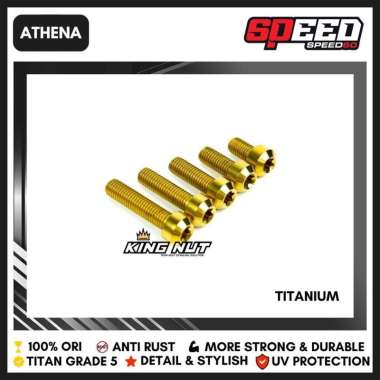 Baut Dudukan Filter Honda Vario 125 150 160 Baut Titanium Grade 5 Probolt Thailand King Nut Athena