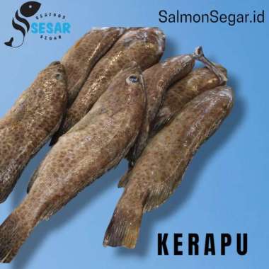 Ikan Kerapu Segar 1kg - Ikan Laut Kerapu 1kg