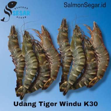 udang pacet segar - udang tiger - udang windu segar size 30 @500gr 500 gr