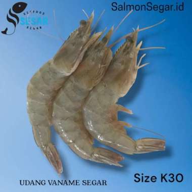 Udang Vaname Besar Segar - Udang Vaname k30 1kg