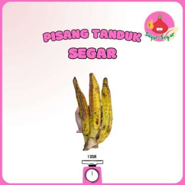 Sayur Segar - Pisang Tanduk Segar / Banana Fresh 3 pcs