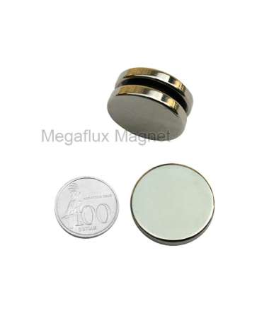 GE - Lingkaran 30 mm x 5 mm. Magnet Neodymium. Ekonomis