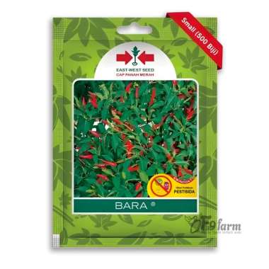 Benih Bibit Cabe Rawit Bara Panah Merah 500 biji Cabai